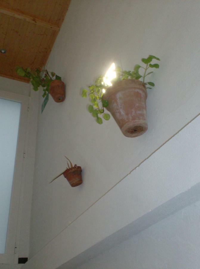 Rocio Rooms El Rocío Екстериор снимка